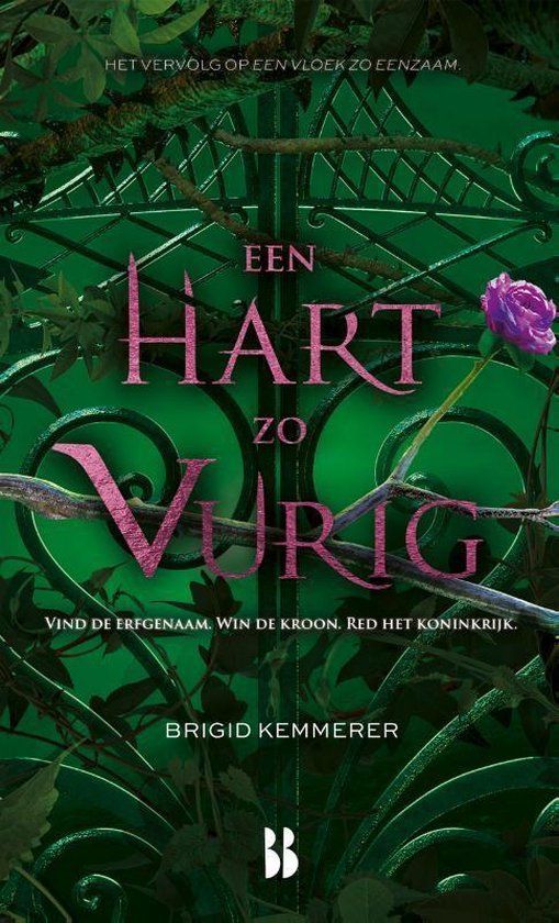 Een hart zo vurig - Brigid Kemmerer Een hart zo vurig - Brigid Kemmerer