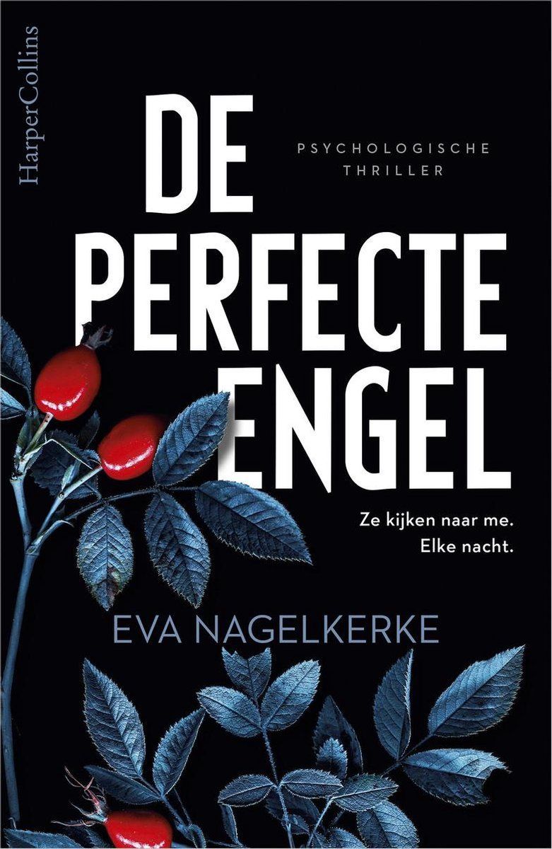 Boekrecensie De perfecte engel - Eva Nagelkerke Boekrecensie De perfecte engel - Eva Nagelkerke