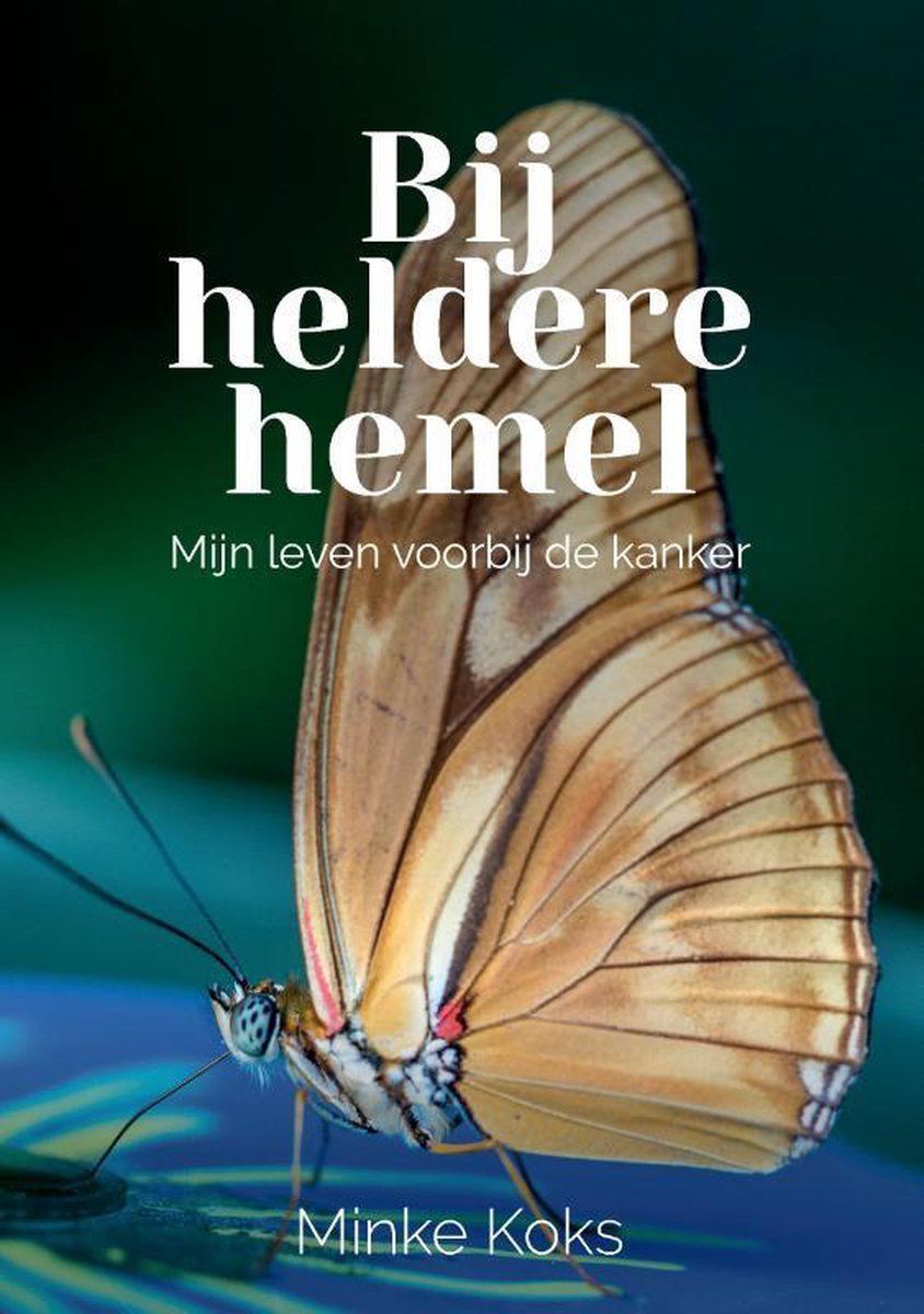 Boekrecensie Bij heldere hemel - Minke Koks Boekrecensie Bij heldere hemel - Minke Koks