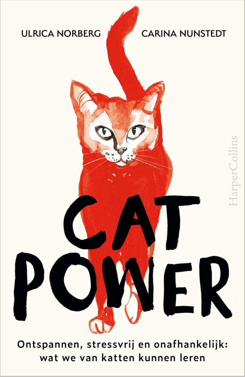 Boekrecensie Cat Power - Ulrica Norberg Boekrecensie Cat Power - Ulrica Norberg