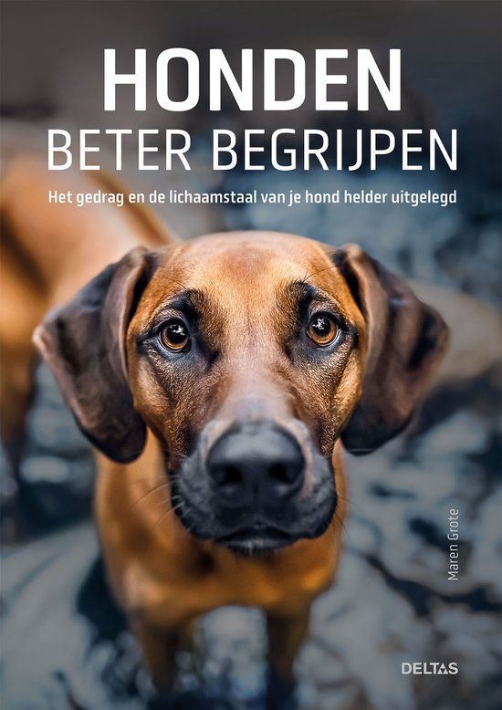 Boekrecensie Honden beter begrijpen Boekrecensie Honden beter begrijpen