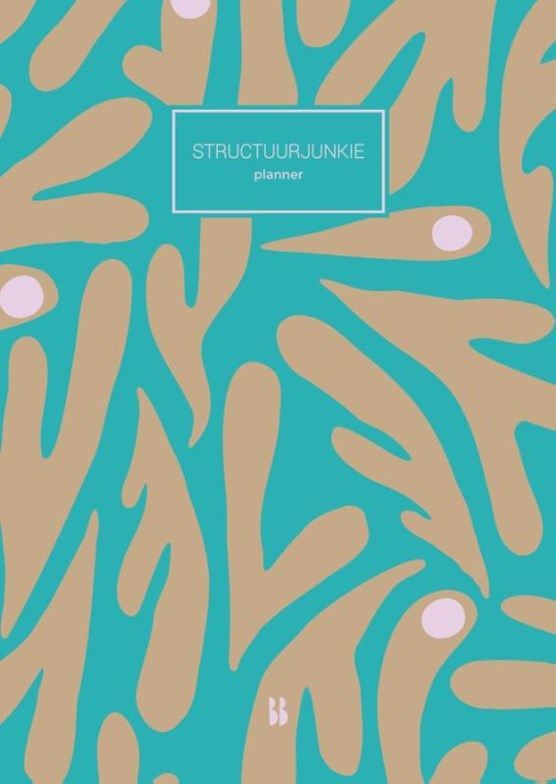 Boekrecensie Structuurjunkie-planner - A4 Cynthia Schultz Boekrecensie Structuurjunkie-planner - A4 Cynthia Schultz