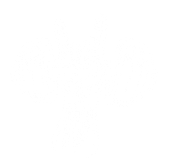A black and orange fist with rays coming out of it on a white background.