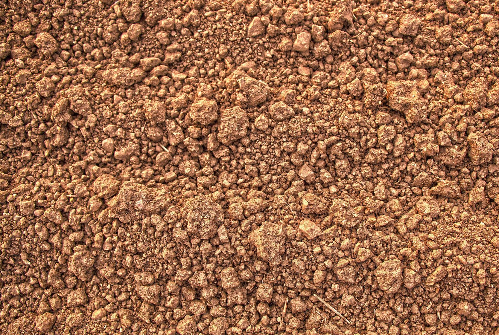 Dirt Surface in Midland, TX