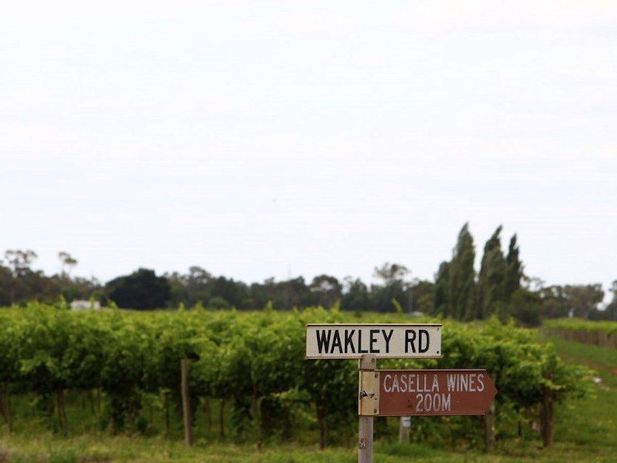 Street signs for Wakley Rd and Casella Wines beside a vineyard under an overcast sky