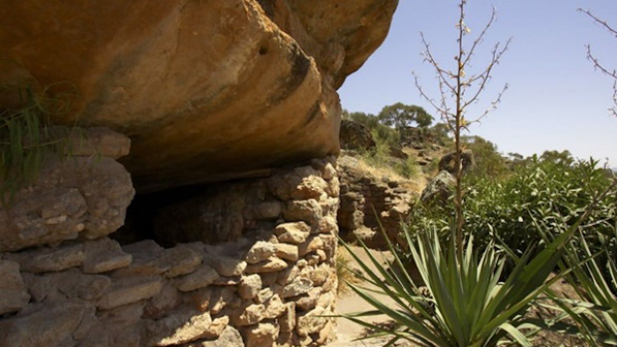 Rock overhang sheltering a stone alcove in a dry garden with succulents and a leafless tree.