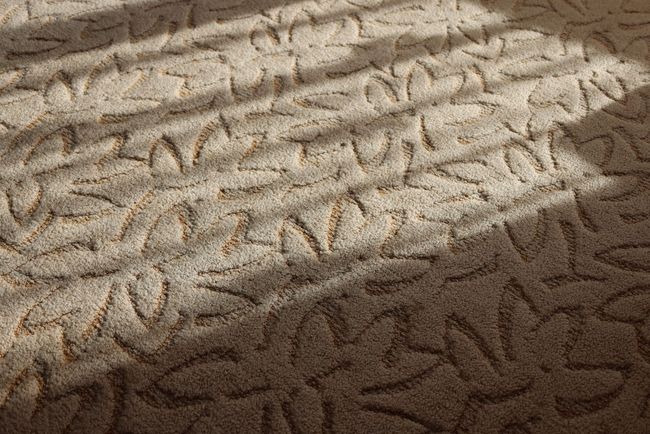 Sunlit beige patterned carpet with shadows across the surface