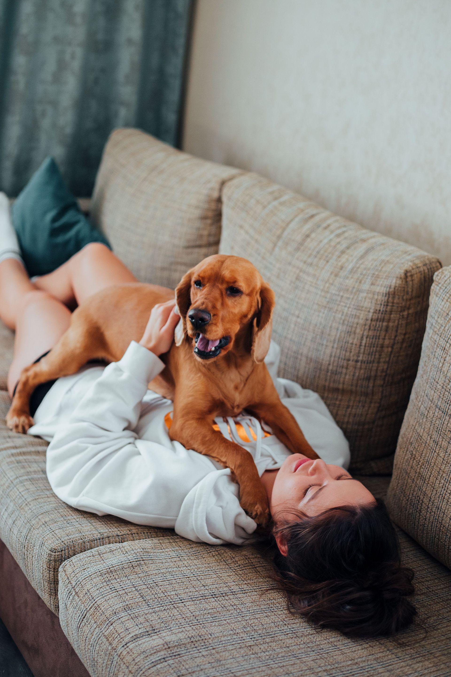 Person lying on a couch with a brown dog resting on their chest