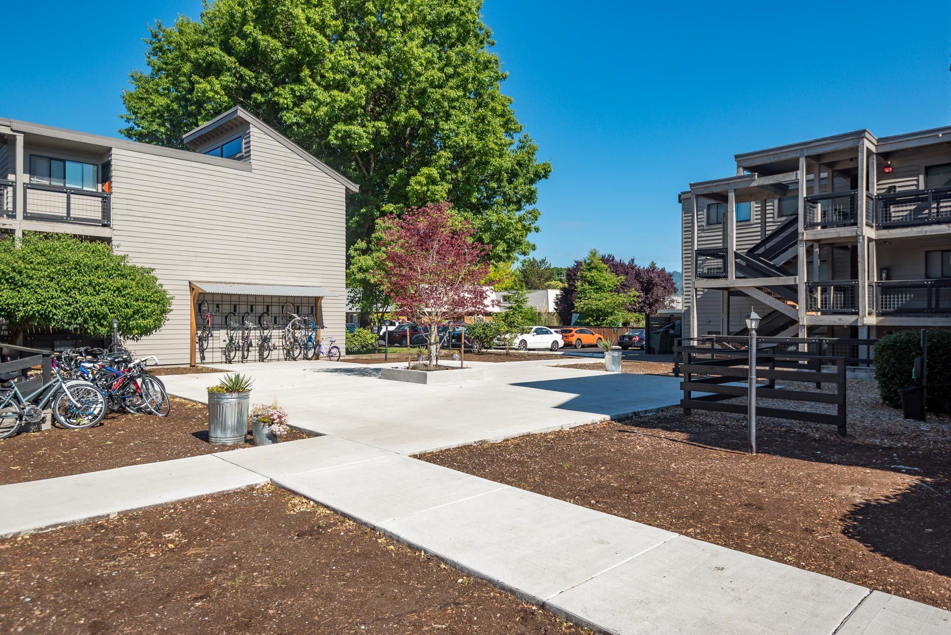 new landscaping