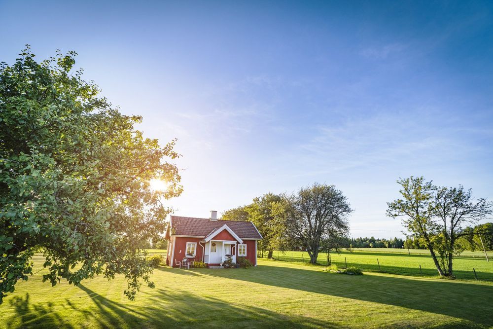 Red cottage in a sunny field, surrounded by trees and a bright blue sky.