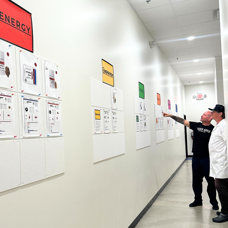 Two workers pointing at safety posters in a bright hallway with wall-mounted charts.