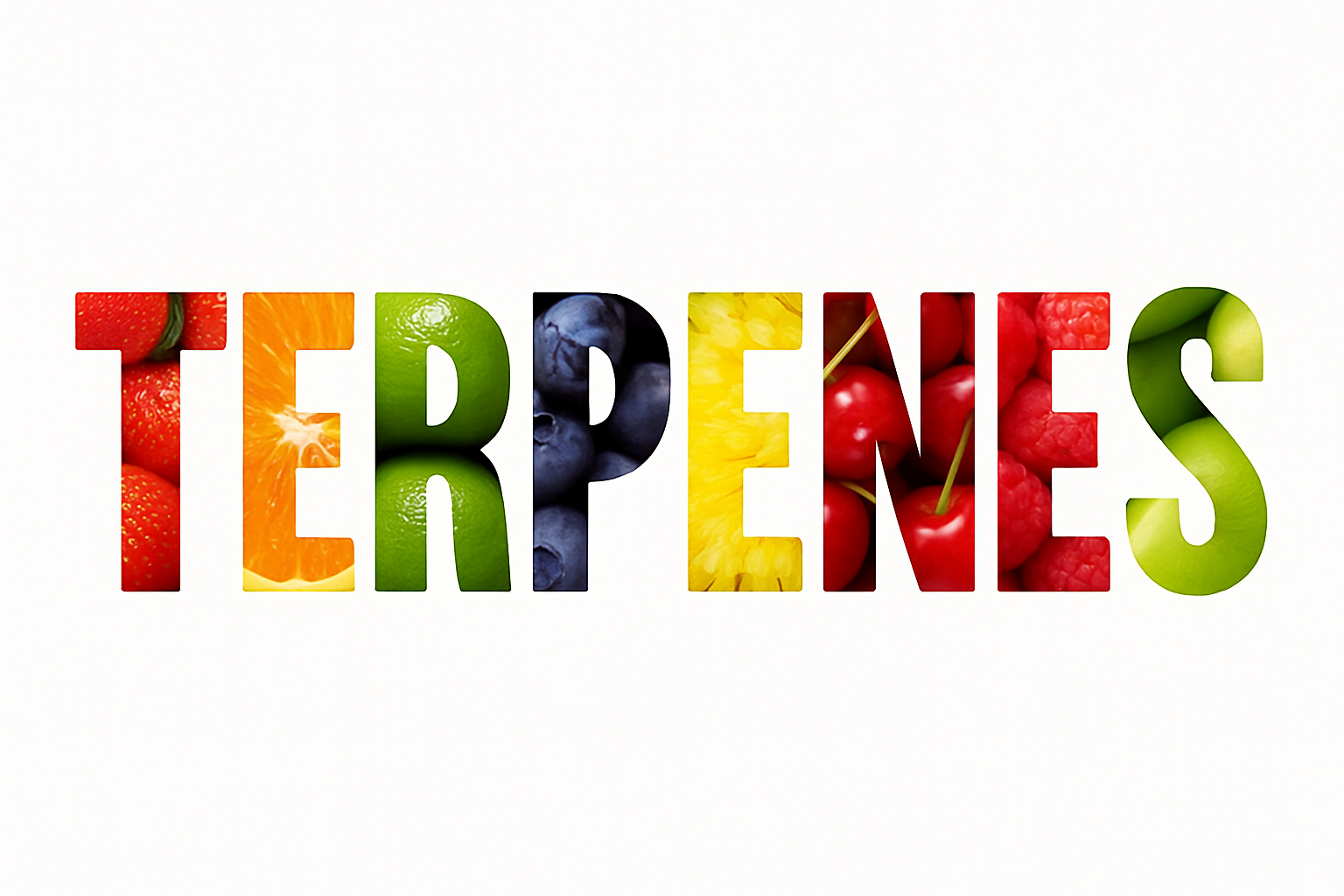 Learn about Terpenes