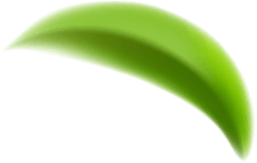 Uma folha verde está flutuando no ar sobre um fundo branco.
