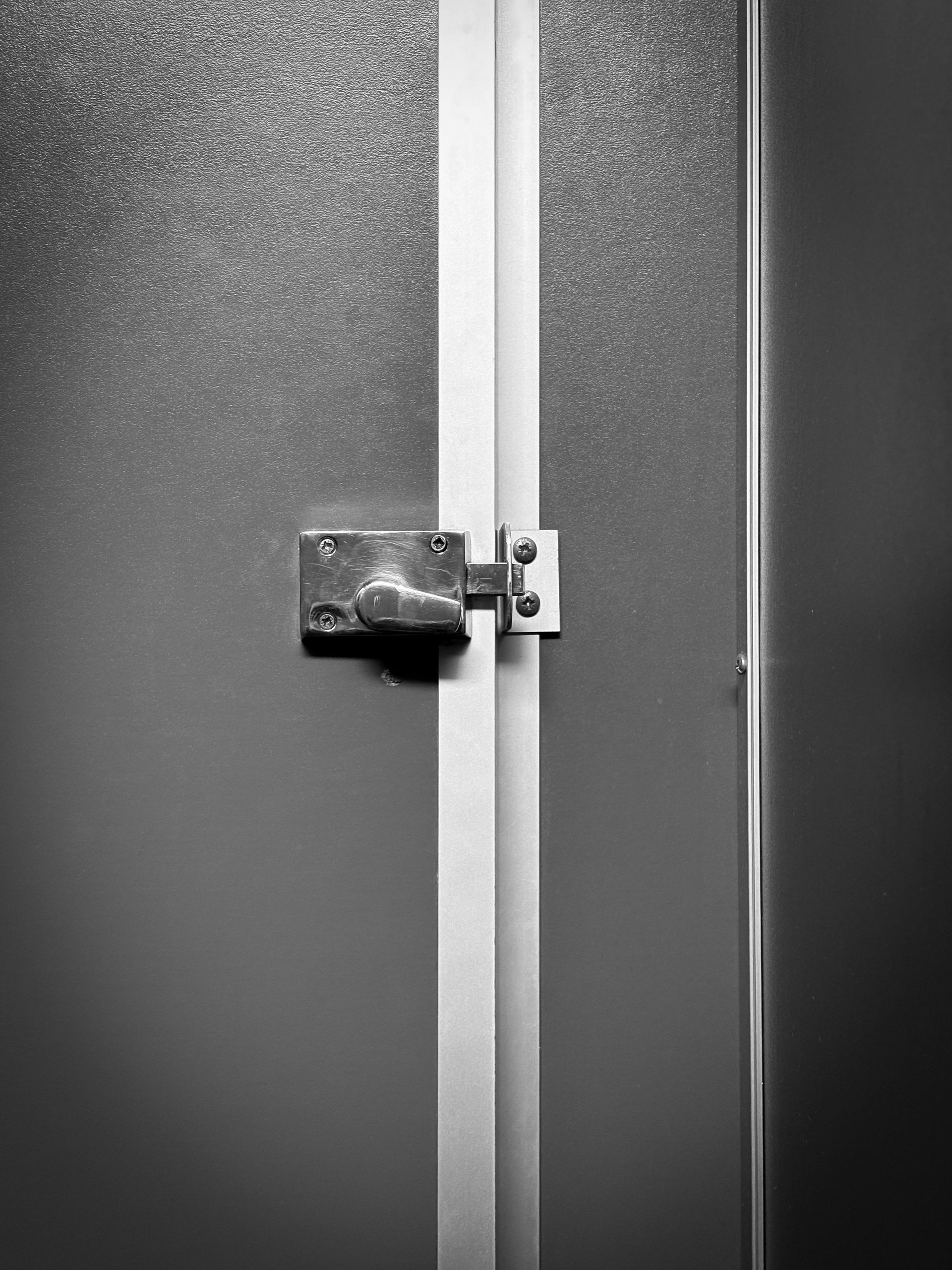 Metal door with a latch.