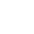 A white blank image.