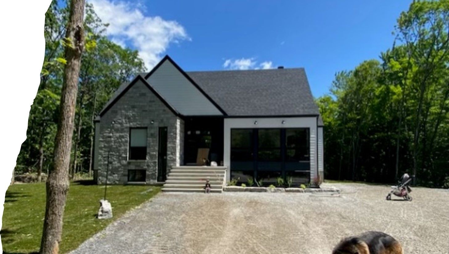 A dog standing in front of a house with trees in the background