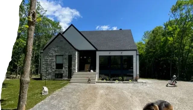 Un chien debout devant une maison avec des arbres en arrière-plan