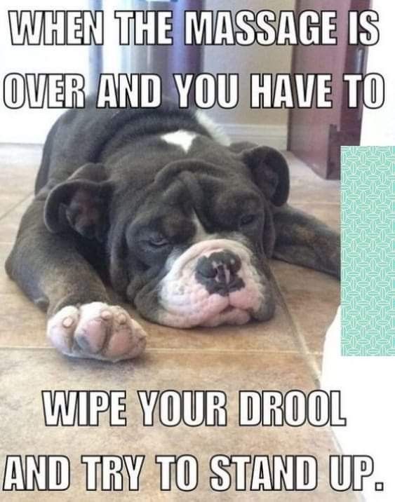 A dog laying on the floor with a caption saying when the massage is over and you have to wipe your drool and try to stand up