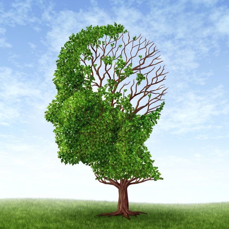 A tree in the shape of a human head