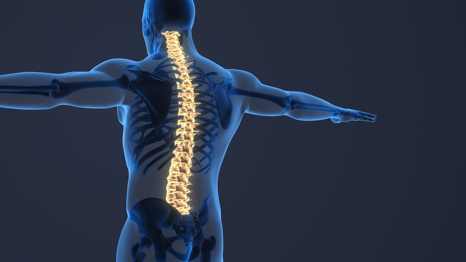 trazioni vertebrali