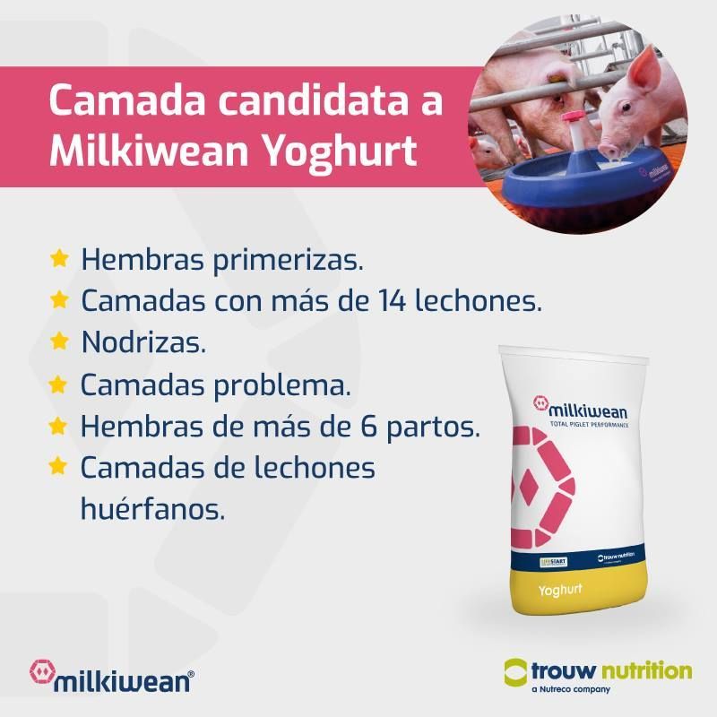 MILKIWEAN Yoghurt