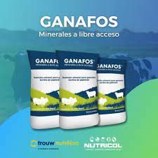 GANAFOS 6% Extensivo