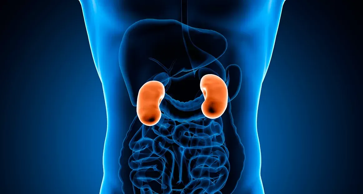 Qual a diferença entre nódulo renal e tumor renal