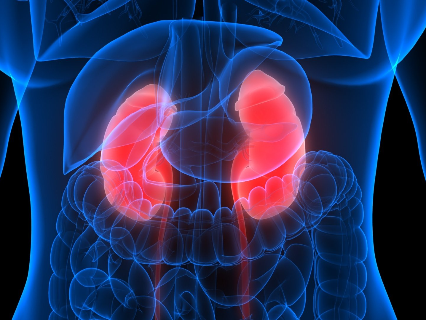 Médico para transplante renal em Brasília Médico para transplante renal em Brasília