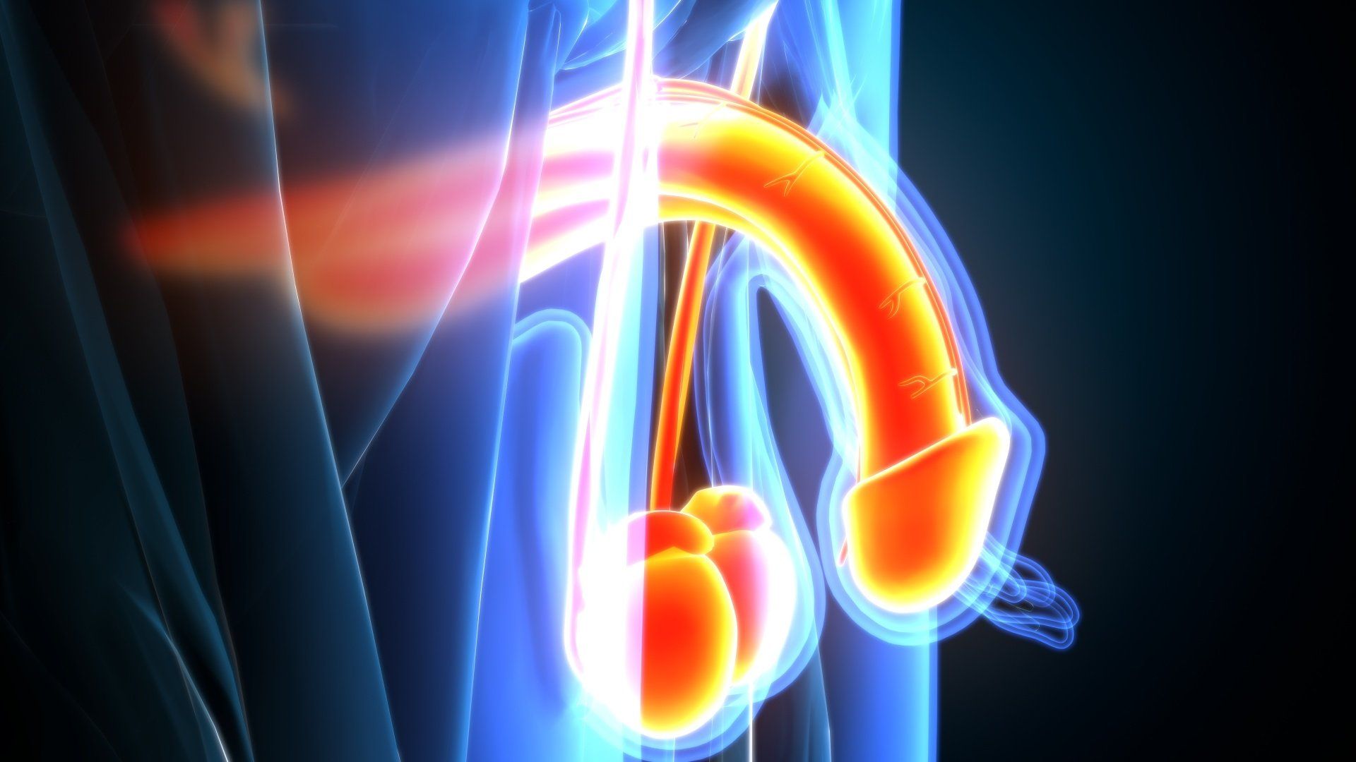 Cirurgia de fimose causa impotência sexual Cirurgia de fimose causa impotência sexual
