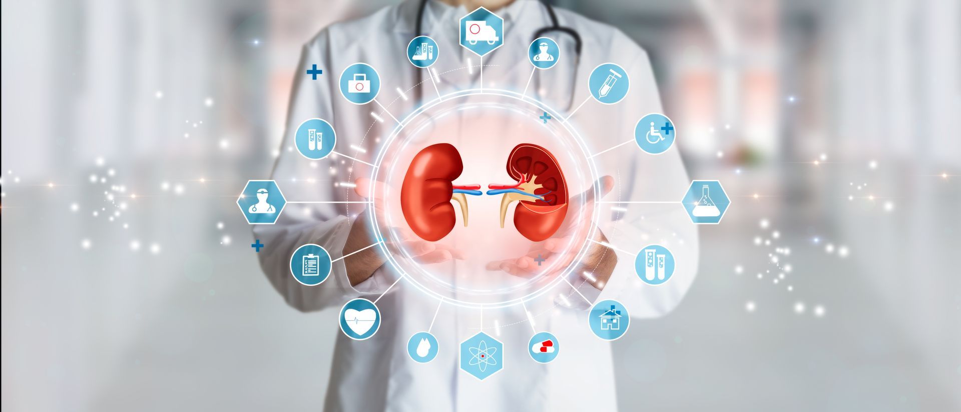 Como é feito um transplante renal
