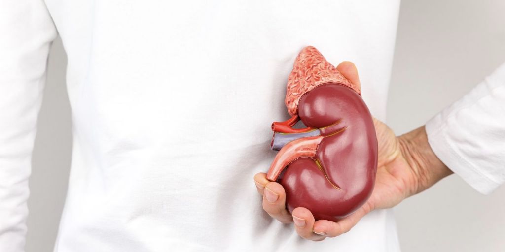 Médico para reversão de vasectomia em Brasília Médico para reversão de vasectomia em Brasília
