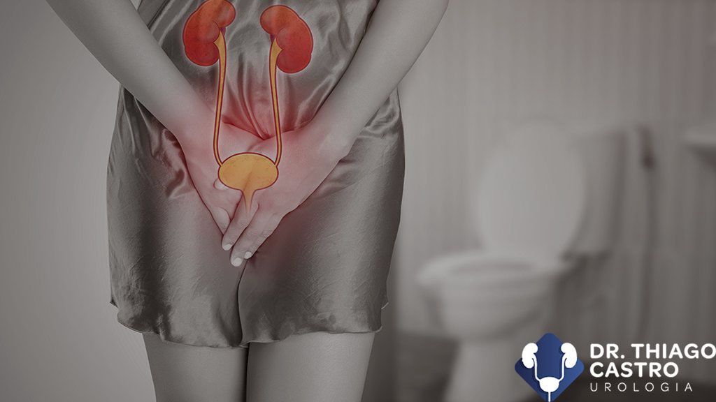 O que é a infecção urinária O que é a infecção urinária