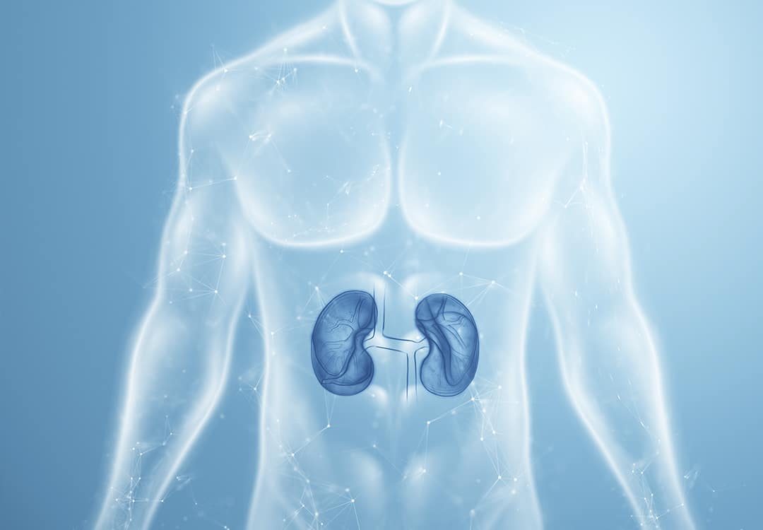 Dr. Thiago Vilela Castro Urologista Dr. Thiago Vilela Castro