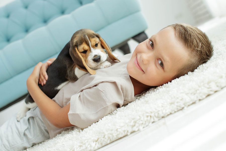A person lying on a white rug, smiling while hugging a small beagle puppy. A light blue sofa is visible in the background.