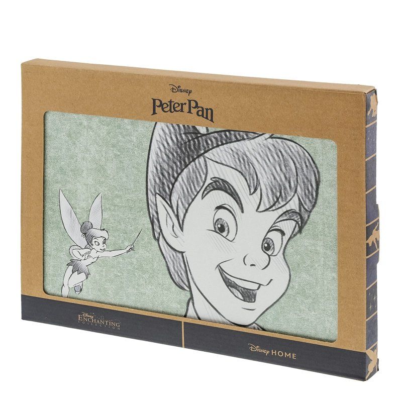Een kunstwerk van Peter Pan in een doos met Tinkerbell. Groene achtergrond.