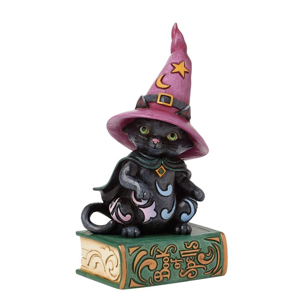 Een zwarte kattenmagiër met paarse hoed en cape zit op een groen boek.
