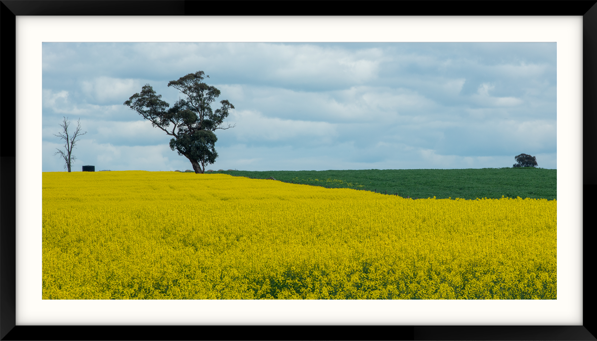 PRINTS AUSTRALIA