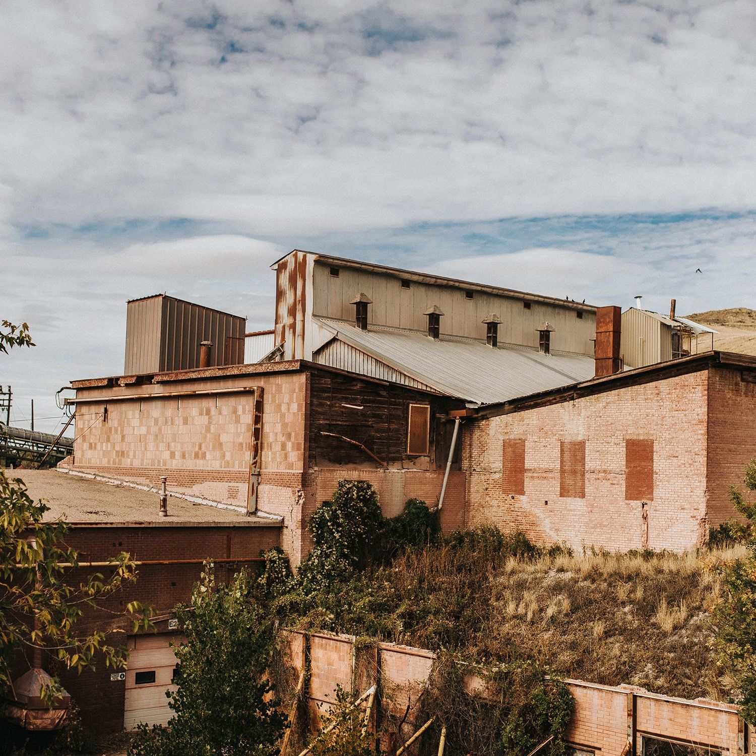 CIPR Case Study - Medalta - Final