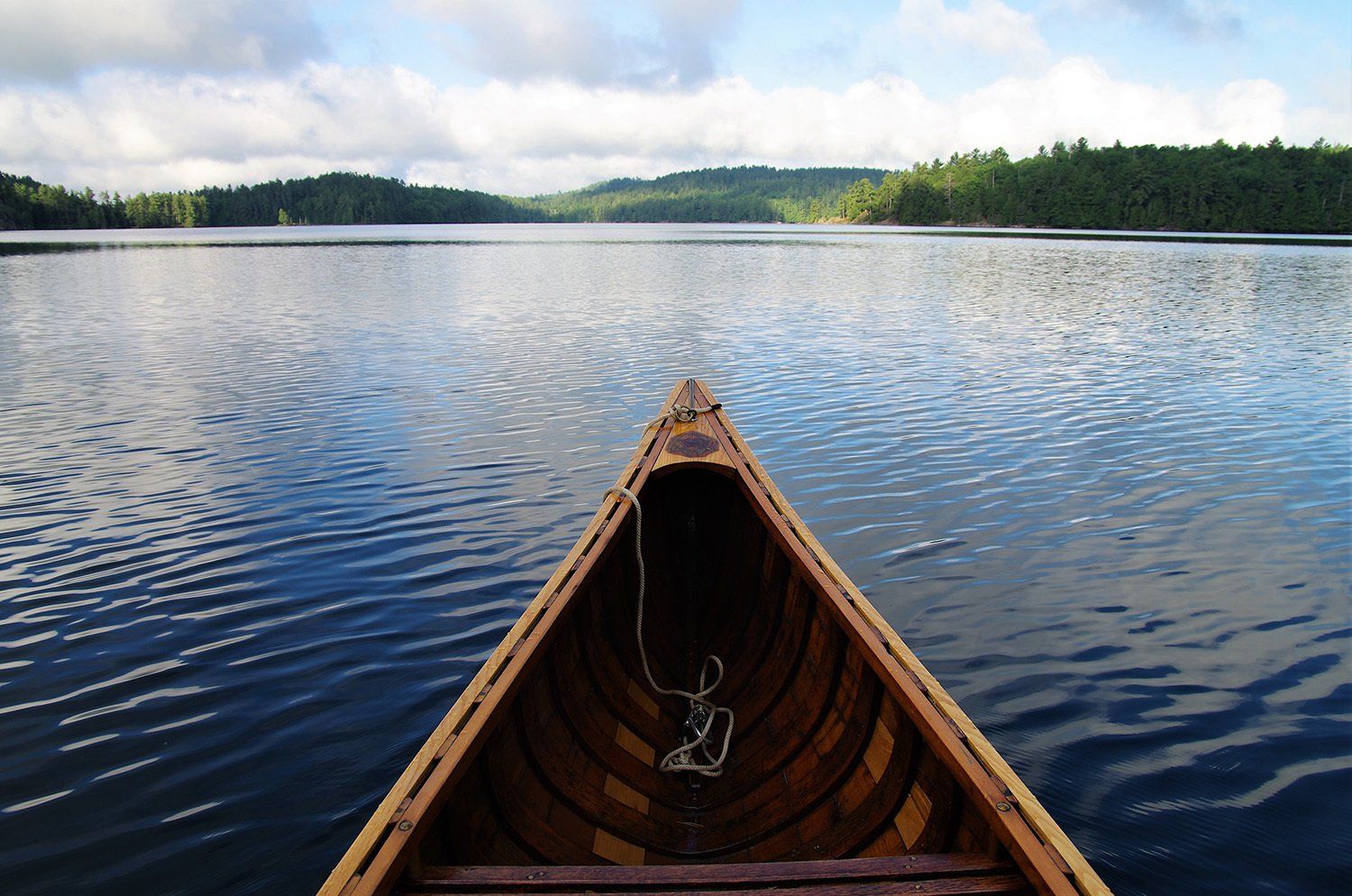 CIPR Case Study - Metis Crossing