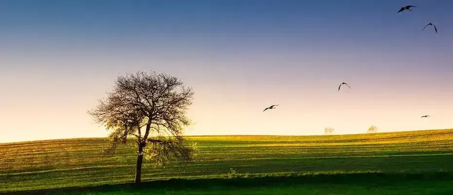 Why Choose Us Lindquist Mortuaries & Cemeteries
