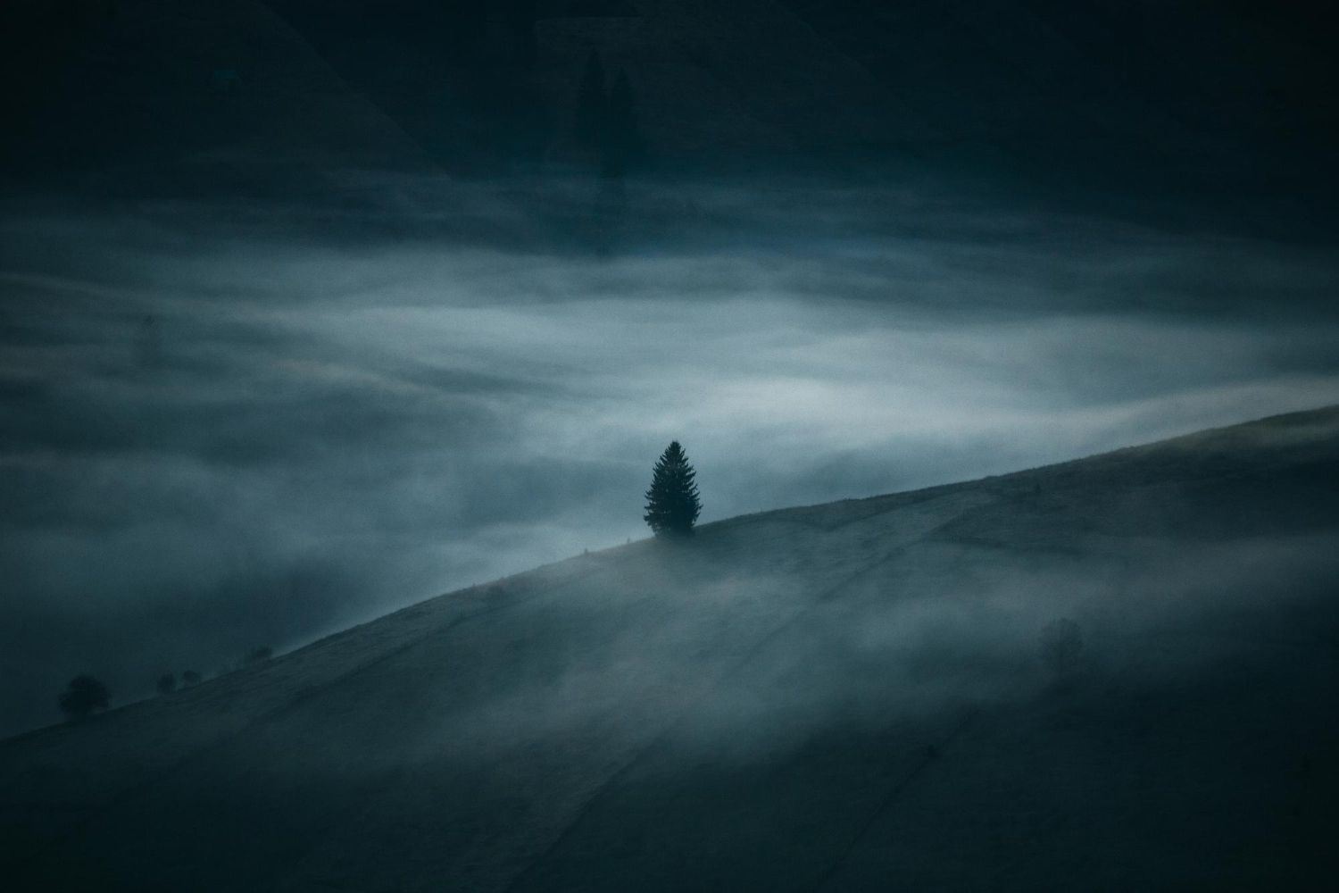 A lone tree silhouetted on a foggy hillside, cool blues and grays dominate the landscape.