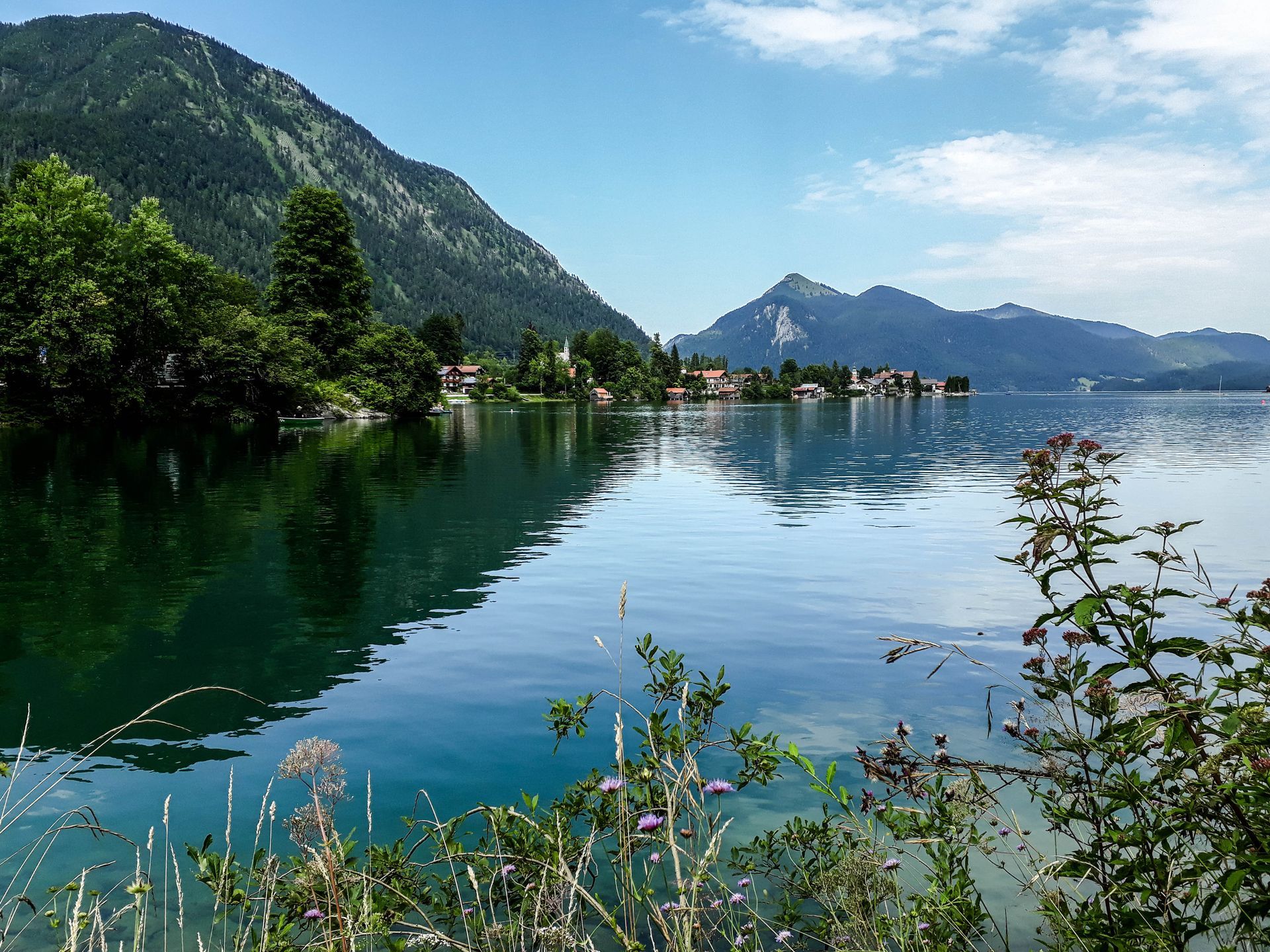 Serene mountain Lake Walchensee with clear blue water, green hills, and wildflowers in the foreground
