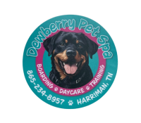 Click here to go to the home page A picture of a dog in a circle that says dewberry pets spa