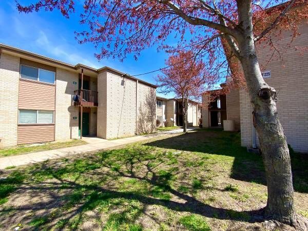 Apartment complex exterior with a grassy area and blooming tree, sunny day.