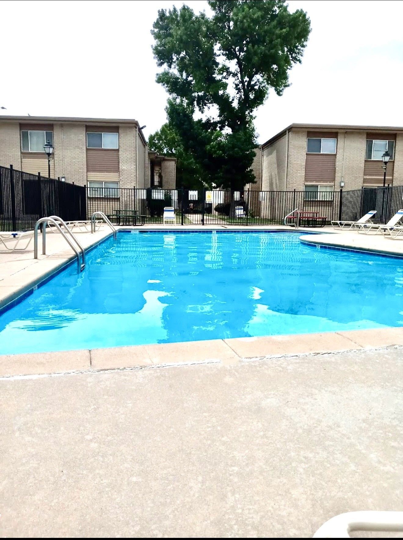Swimming pool in front of apartment buildings, with a large tree in between them.