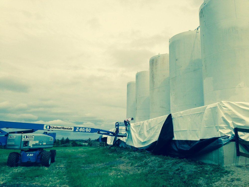 Go Green Insulation