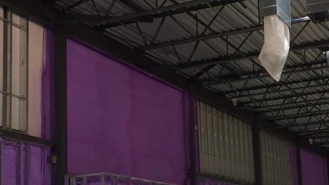 Go Green Insulation