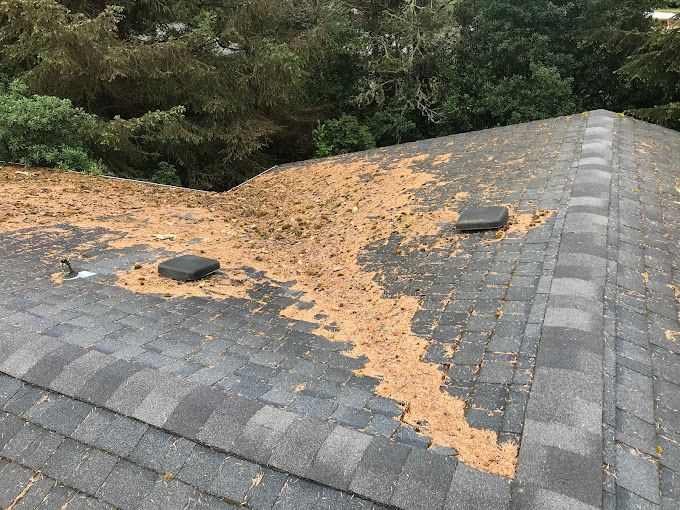 Roof covered in brown debris with two black vents. Green trees are in the background.