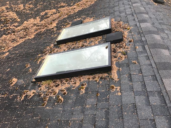 Two rectangular skylights on a dark shingle roof covered in debris.