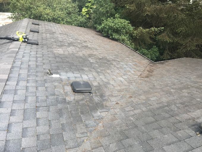 Shingled roof with dark staining, showing a vent and a leaf blower. Overlooking green trees.